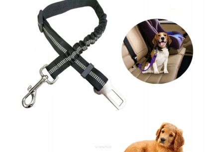 Pasy bezpieczeństwa