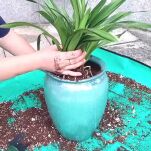 MATA PODKŁADKA OSŁONA OGRODNICZA BALKONOWA DO PRZESADZANIA KWIATÓW ROZSAD PIELĘGNACJI ROŚLIN 66*66CM - 4