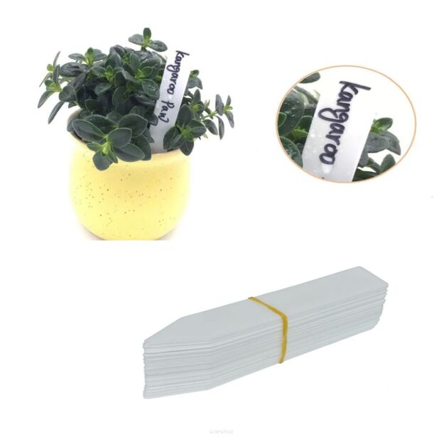 ZNACZNIKI TABLICZKI ETYKIETY DO OPISYWANIA ROŚLIN OPISU SADZONEK PLASTIKOWE OGRODOWE WIELORAZOWE  BIAŁE 10SZT