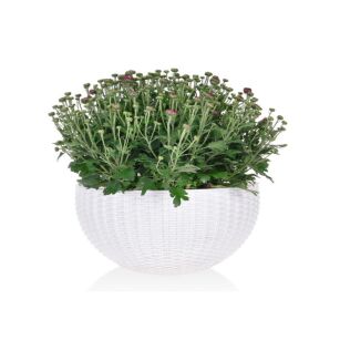 DONICZKA NA KWIATY ZIOŁA NA ŚCIANĘ NA PŁOT DONICA OGRODOWA RATTAN WISZĄCA BIAŁA