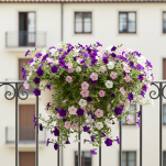 Skrzynka balkonowa doniczka zawieszana na balustradę balkon i taras z uchwytami do kwiatów Simplo - 4