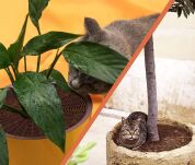 20CM OSŁONKA DONICZKI NA DONICZKĘ ZABEZPIECZENIE PRZED DZIEĆMI KOTAMI OCHRONA KWIATÓW REGULOWANA - 5