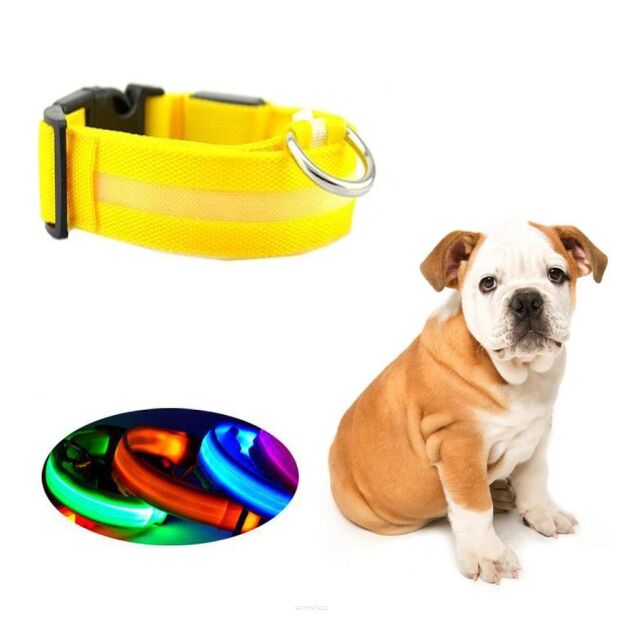 OBROŻA LED DLA PSA ŚWIECĄCA MIGAJĄCA OSTRZEGAWCZA Z REGULACJĄ REGULOWANA