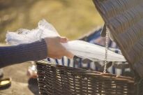 MOSKITIERA SIATKA OSŁONA NA ŻYWNOŚĆ JEDZENIE NA OWOCE KLOSZ OCHRONA PRZED OWADAMI GRILL PIKNIK XL - 4